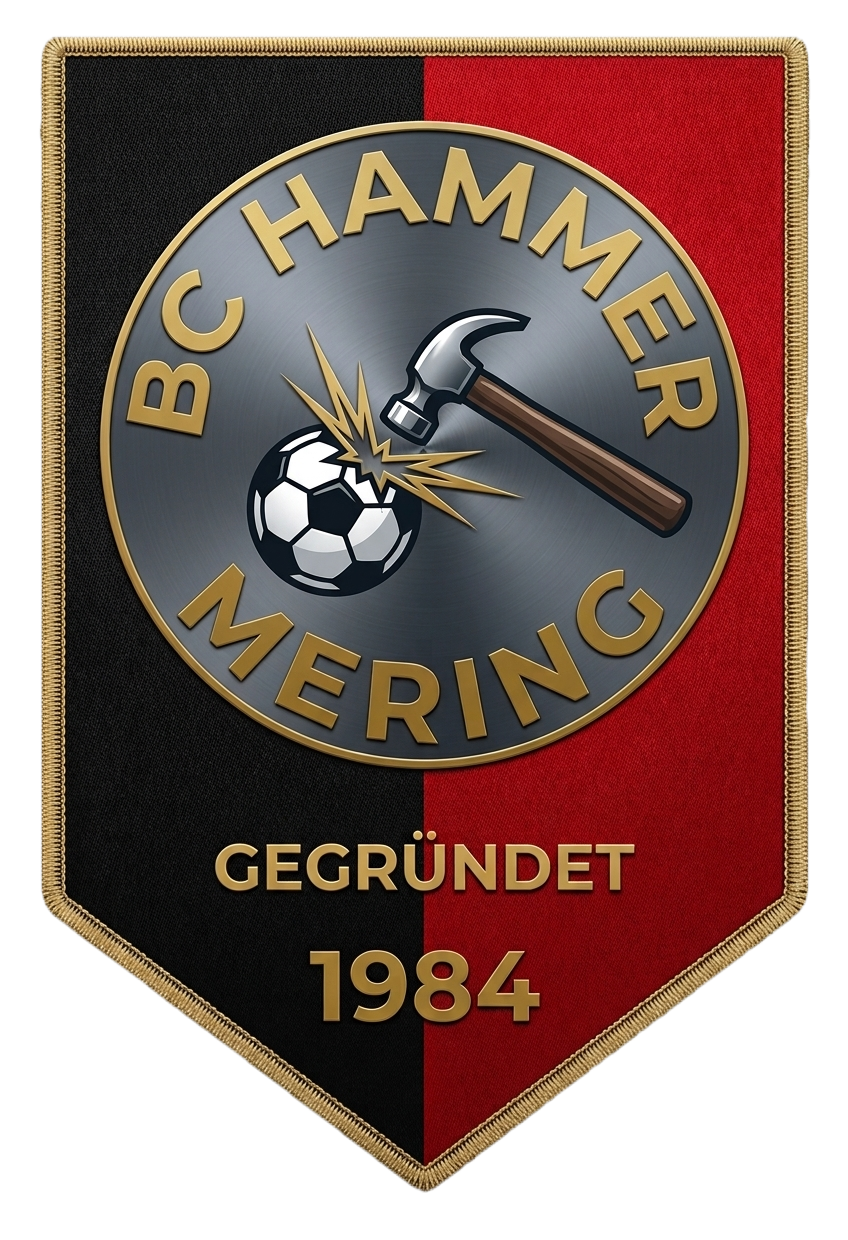 BC Hammer Logo